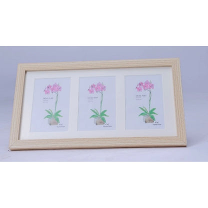 Generic Acrylic Cactus Image Frame (Multicolor)