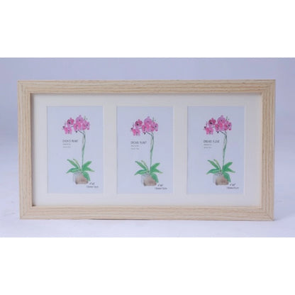 Generic Acrylic Cactus Image Frame (Multicolor)